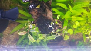 WhatsApp Image 2021 02 25 at 12.45.51 WhatsApp Image 2021 02 25 at 12.45.51