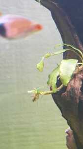 WhatsApp Image 2021 02 25 at 13.07.25 (1) WhatsApp Image 2021 02 25 at 13.07.25 (1)