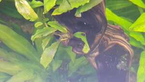 WhatsApp Image 2021 02 25 at 13.07.25 WhatsApp Image 2021 02 25 at 13.07.25