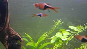 WhatsApp Image 2021 02 27 at 16.49.55 (1)