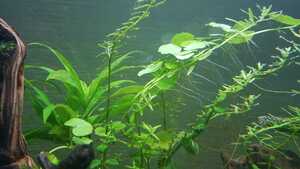 WhatsApp Image 2021 02 27 at 16.49.55