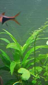 WhatsApp Image 2021 02 27 at 16.49.56 (1)