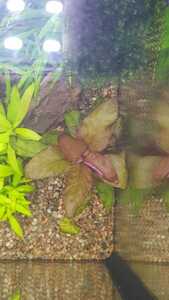 WhatsApp Image 2021 02 27 at 16.49.56 (4)