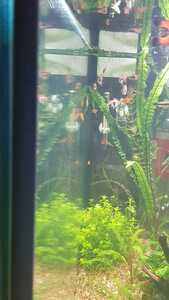 WhatsApp Image 2021 03 04 at 13.02.49 (4)