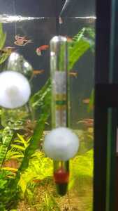 WhatsApp Image 2021 03 04 at 13.02.49 (5)