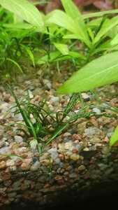 WhatsApp Image 2021 03 04 at 13.02.49 (8)