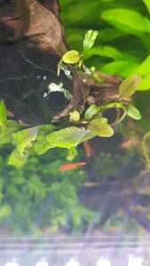 WhatsApp Image 2021 03 04 at 13.02.49 (10)