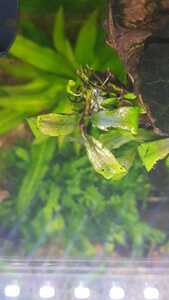 WhatsApp Image 2021 03 04 at 13.02.49 (11)