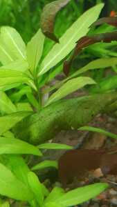 WhatsApp Image 2021 03 04 at 13.02.49 (12)