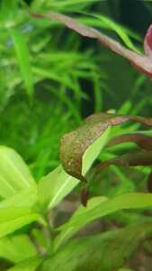 WhatsApp Image 2021 03 04 at 13.02.49 (13)