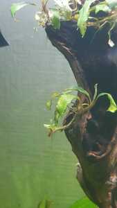 WhatsApp Image 2021 03 04 at 13.02.49 (9)