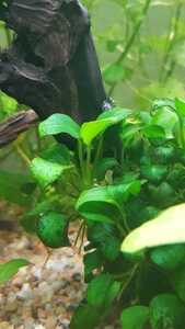 WhatsApp Image 2021 03 04 at 13.02.48 (1)