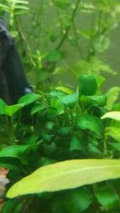 WhatsApp Image 2021 03 04 at 13.02.48