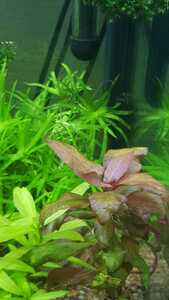 WhatsApp Image 2021 03 04 at 13.02.49 (1)