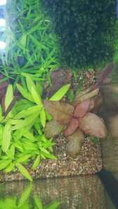 WhatsApp Image 2021 03 04 at 13.02.49 (2)