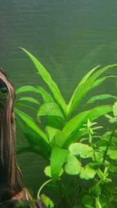 WhatsApp Image 2021 03 04 at 13.02.49 (7)