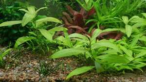 WhatsApp Image 2021 03 04 at 13.02.49