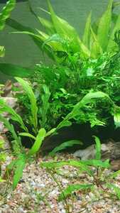 WhatsApp Image 2021 03 04 at 13.02.50