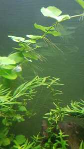 WhatsApp Image 2021 03 04 at 13.02.50 (1)