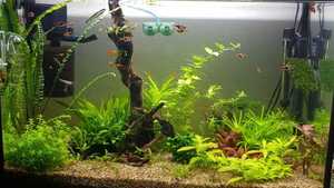 WhatsApp Image 2021 03 04 at 13.02.49 (6)