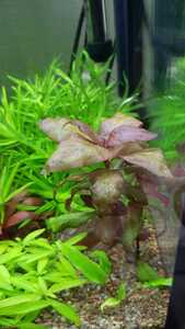 WhatsApp Image 2021 03 11 at 13.27.29 (1) WhatsApp Image 2021 03 11 at 13.27.29 (1)