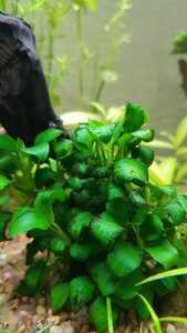 WhatsApp Image 2021 03 11 at 13.27.31 WhatsApp Image 2021 03 11 at 13.27.31