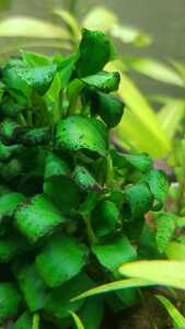 WhatsApp Image 2021 03 11 at 13.37.44 WhatsApp Image 2021 03 11 at 13.37.44