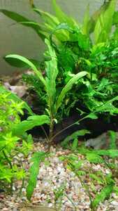 WhatsApp Image 2021 03 11 at 13.27.29 (4) WhatsApp Image 2021 03 11 at 13.27.29 (4)