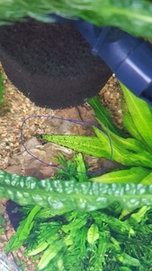 WhatsApp Image 2021 03 11 at 13.27.29 (5) WhatsApp Image 2021 03 11 at 13.27.29 (5)