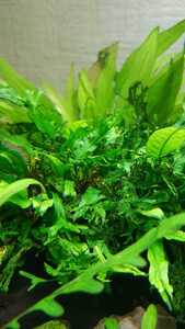 WhatsApp Image 2021 03 11 at 13.27.30 WhatsApp Image 2021 03 11 at 13.27.30