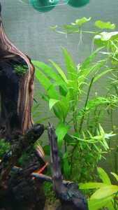 WhatsApp Image 2021 03 11 at 13.27.29 (3) WhatsApp Image 2021 03 11 at 13.27.29 (3)