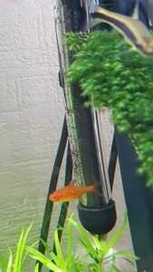 WhatsApp Image 2021 03 11 at 13.46.56 (1) WhatsApp Image 2021 03 11 at 13.46.56 (1)