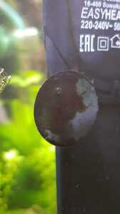 WhatsApp Image 2021 03 11 at 13.46.56 WhatsApp Image 2021 03 11 at 13.46.56