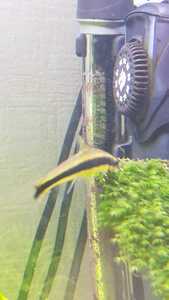 WhatsApp Image 2021 03 15 at 13.26.09 WhatsApp Image 2021 03 15 at 13.26.09