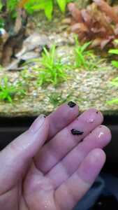 WhatsApp Image 2021 03 15 at 15.01.15 (3) WhatsApp Image 2021 03 15 at 15.01.15 (3)