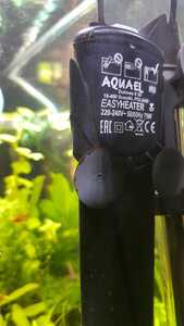 WhatsApp Image 2021 03 15 at 15.01.15 (2) WhatsApp Image 2021 03 15 at 15.01.15 (2)