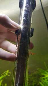 WhatsApp Image 2021 03 15 at 15.01.15 WhatsApp Image 2021 03 15 at 15.01.15