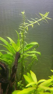 photo 2021 04 03 16 56 54
