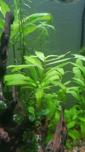photo 2021 04 03 16 56 53