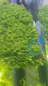 photo 2021 04 03 17 42 56