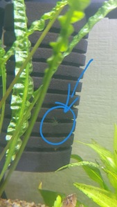 photo 2021 04 03 17 42 51