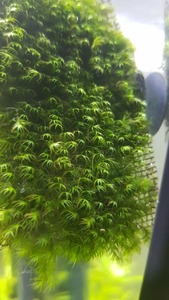 photo 2021 04 03 19 34 39