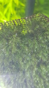 photo 2021 04 03 19 43 12
