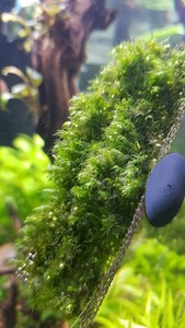 photo 2021 04 10 21 40 35