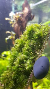 photo 2021 04 10 21 40 36