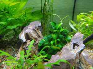 photo 2021 04 10 21 06 45