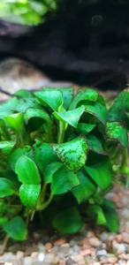 photo 2021 08 30 17 34 37