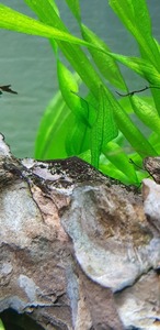 photo 2021 08 30 17 34 35