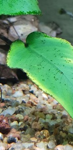 photo 2021 08 30 17 58 38 photo 2021 08 30 17 58 38