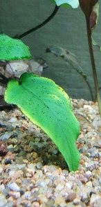 photo 2021 08 30 17 58 36 photo 2021 08 30 17 58 36